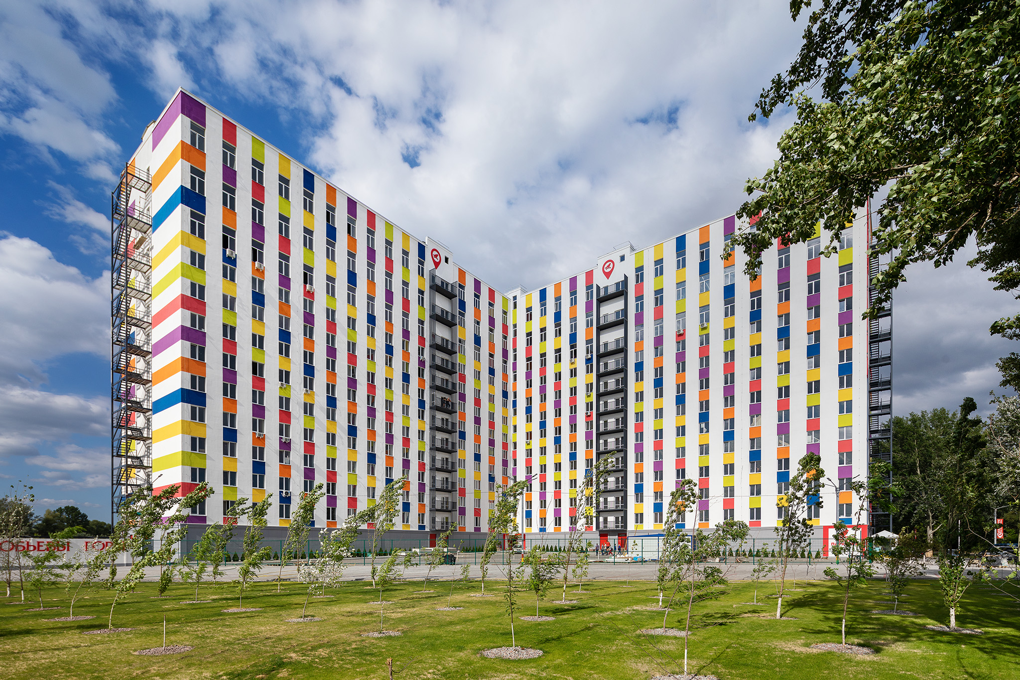 молодые деревья фото