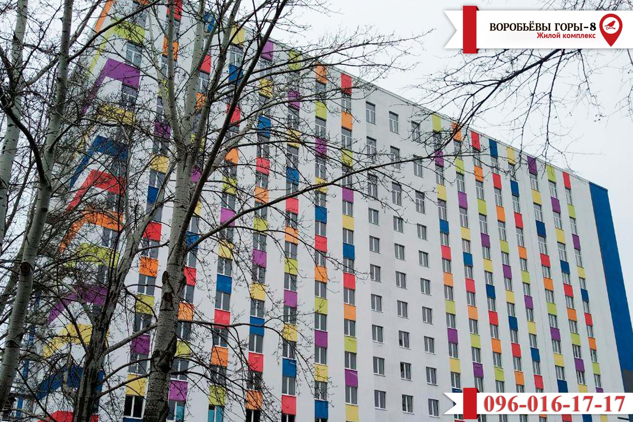 Воробьевы горы 8