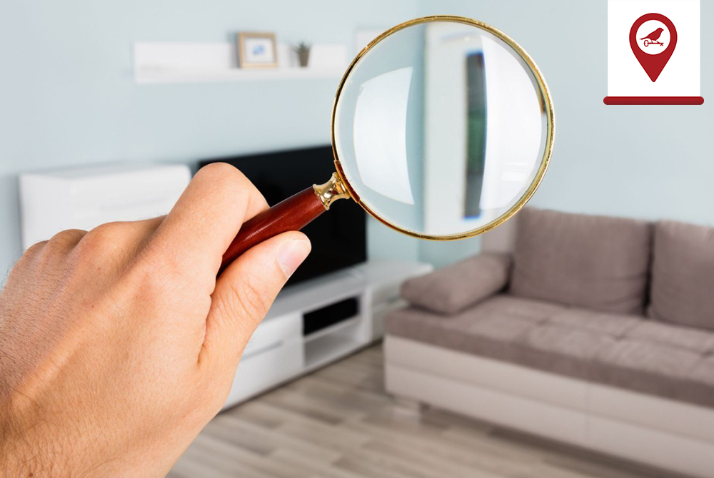 Как сделать правильный выбор при поиске квартиры в новостройке?